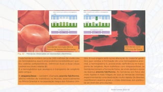 Nuno Correia 2015-16
 
