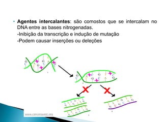 • Agentes intercalantes: são comostos que se intercalam no
DNA entre as bases nitrogenadas.
-Inibição da transcrição e indução de mutação
-Podem causar inserções ou deleções
 