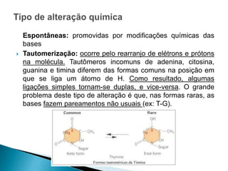 Espontâneas: promovidas por modificações químicas das
bases
 Tautomerização: ocorre pelo rearranjo de elétrons e prótons
na molécula. Tautômeros incomuns de adenina, citosina,
guanina e timina diferem das formas comuns na posição em
que se liga um átomo de H. Como resultado, algumas
ligações simples tornam-se duplas, e vice-versa. O grande
problema deste tipo de alteração é que, nas formas raras, as
bases fazem pareamentos não usuais (ex: T-G).
 