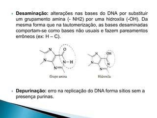  Desaminação: alterações nas bases do DNA por substituir
um grupamento amina (- NH2) por uma hidroxila (-OH). Da
mesma forma que na tautomerização, as bases desaminadas
comportam-se como bases não usuais e fazem pareamentos
errôneos (ex: H – C).
 Depurinação: erro na replicação do DNA forma sítios sem a
presença purinas.
 