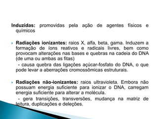 Induzidas: promovidas pela ação de agentes físicos e
químicos
 Radiações ionizantes: raios X, alfa, beta, gama. Induzem a
formação de íons reativos e radicais livres, bem como
provocam alterações nas bases e quebras na cadeia do DNA
(de uma ou ambas as fitas)
- causa quebra das ligações açúcar-fosfato do DNA, o que
pode levar a aberrações cromossômicas estruturais.
 Radiações não-ionizantes: raios ultravioleta. Embora não
possuam energia suficiente para ionizar o DNA, carregam
energia suficiente para alterar a molécula.
- gera transições, transversões, mudança na matriz de
leitura, duplicações e deleções.
 