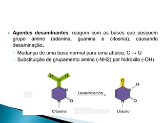  Agentes desaminantes: reagem com as bases que possuem
grupo amino (adenina, guanina e citosina), causando
desaminação.
◦ Mudança de uma base normal para uma atípica; C → U
◦ Substituição de grupamento amina (-NH2) por hidroxila (-OH)
 