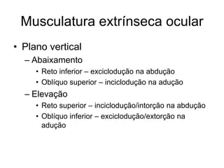 Musculatura extrínseca ocular 
• Plano vertical 
– Abaixamento 
• Reto inferior – exciclodução na abdução 
• Oblíquo superior – inciclodução na adução 
– Elevação 
• Reto superior – inciclodução/intorção na abdução 
• Oblíquo inferior – exciclodução/extorção na 
adução 
 