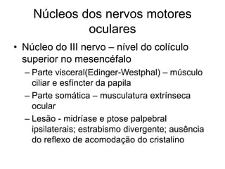 Núcleos dos nervos motores 
oculares 
• Núcleo do III nervo – nível do colículo 
superior no mesencéfalo 
– Parte visceral(Edinger-Westphal) – músculo 
ciliar e esfíncter da papila 
– Parte somática – musculatura extrínseca 
ocular 
– Lesão - midríase e ptose palpebral 
ipsilaterais; estrabismo divergente; ausência 
do reflexo de acomodação do cristalino 
 