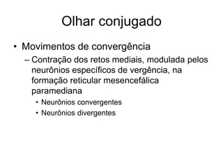 Olhar conjugado 
• Movimentos de convergência 
– Contração dos retos mediais, modulada pelos 
neurônios específicos de vergência, na 
formação reticular mesencefálica 
paramediana 
• Neurônios convergentes 
• Neurônios divergentes 
 