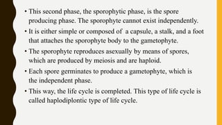 • This second phase, the sporophytic phase, is the spore
producing phase. The sporophyte cannot exist independently.
• It is either simple or composed of a capsule, a stalk, and a foot
that attaches the sporophyte body to the gametophyte.
• The sporophyte reproduces asexually by means of spores,
which are produced by meiosis and are haploid.
• Each spore germinates to produce a gametophyte, which is
the independent phase.
• This way, the life cycle is completed. This type of life cycle is
called haplodiplontic type of life cycle.
 