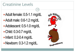 137
Creatinine Levels
Adult female: 0.5-1.1 mg/dL
Adult male: 0.6-1.2 mg/dL
Adolescent: 0.5-1.0 mg/dL
Child: 0.3-0.7 mg/dL
Infant: 0.2-0.4 mg/dL
Newborn: 0.3-1.2 mg/dL.
137137
 