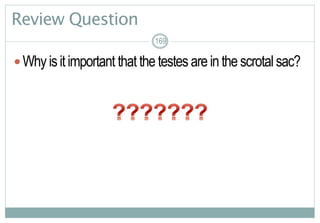 169
Review Question
Why isitimportant that thetestes areinthescrotalsac?
169
 