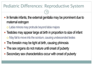 18
Pediatric Differences: Reproductive System
 Infemaleinfants,theexternalgenitaliamaybeprominentdueto
maternalestrogen
 Labiaminoramayprotrudebeyondlabiamajora
 Testiclesmayappearlargeatbirthinproportiontosizeofinfant
 Mayfailtomoveintothescrotum,causingundescendedtestes
 Theforeskinmaybetightatbirth,causing phimosis
 Thesexorgansdonotmatureuntilonsetofpuberty
 Secondarysexcharacteristicsoccurwithonsetofpuberty
18
 