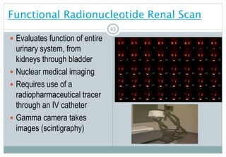 43
Functional Radionucleotide Renal Scan
 Evaluates function of entire
urinary system, from
kidneys through bladder
 Nuclear medical imaging
 Requires use of a
radiopharmaceutical tracer
through an IV catheter
 Gamma camera takes
images (scintigraphy)
43
 