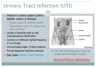 52
Urinary Tract Infection (UTI)
 Infection in urinary system (urethra,
bladder, ureters, or kidneys)
 Cystitis: Lower UTI; urethra or bladder
 Pyelonephritis: Upper UTI; ureters, renal
pelvis, or kidneys
 Usually of bacterial origin (e coli);
characterized by inflammation
 Common in childhood; highest frequency
≤ 2 yrs of age
 Uncircumcised males: 10-fold incidence
 Prompt diagnosis/ treatment essential
 See video Urinary Tract Infection
5252
 The male and female urinary tracts are
similar except for length of urethra
 