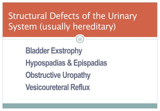 66
Bladder Exstrophy
Hypospadias & Epispadias
Obstructive Uropathy
Vesicoureteral Reflux
Structural Defects of the Urinary
System (usually hereditary)
6666
 