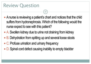87
Review Question
 Anurseisreviewingapatient’schartandnoticesthatthechild
suffersfromhydronephrosis. Whichofthefollowing wouldthe
nurseexpecttoseewiththispatient?
 A.Swollenkidneyduetourinenotdraining fromkidney
 B.Dehydrationfromspittingupandseveralloosestools
 C.Profuseurinationandurinaryfrequency
 D.Spinalcorddefectcausinginability toemptybladder
87
 