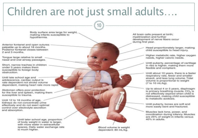 Why some men have a small penis and some large
