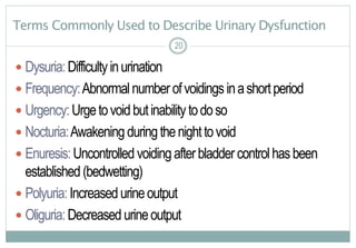 20
Terms Commonly Used to Describe Urinary Dysfunction
 Dysuria:Difficultyinurination
 Frequency:Abnormalnumberofvoidings inashortperiod
 Urgency:Urgetovoidbutinability todoso
 Nocturia:Awakening duringthenighttovoid
 Enuresis:Uncontrolled voidingafterbladdercontrolhasbeen
established (bedwetting)
 Polyuria:Increasedurineoutput
 Oliguria:Decreased urineoutput
20
 