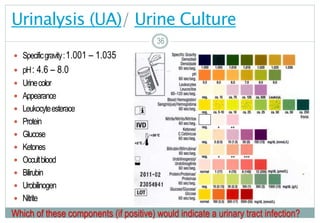 36
Urinalysis (UA)/ Urine Culture
 Specificgravity:1.001 – 1.035
 pH: 4.6 – 8.0
 Urinecolor
 Appearance
 Leukocyteesterace
 Protein
 Glucose
 Ketones
 Occultblood
 Bilirubin
 Urobilinogen
 Nitrite
3636
Which of these components (if positive) would indicate a urinary tract infection?
 
