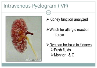 45
Intravenous Pyelogram (IVP)
45
Kidney function analyzed
Watch for allergic reaction
to dye
Dye can be toxic to kidneys
Push fluids
Monitor I & O
45
 