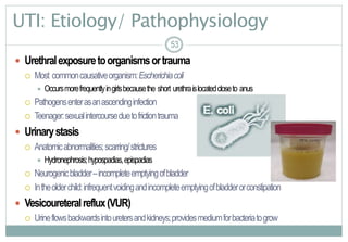 53
UTI: Etiology/ Pathophysiology
 Urethralexposuretoorganismsortrauma
 Most commoncausativeorganism:Escherichiacoli
 Occursmorefrequentlyingirlsbecausethe short urethraislocatedcloseto anus
 Pathogensenterasanascendinginfection
 Teenager:sexualintercourseduetofrictiontrauma
 Urinarystasis
 Anatomicabnormalities;scarring/strictures
 Hydronephrosis;hypospadias,epispadias
 Neurogenicbladder–incompleteemptyingofbladder
 Intheolderchild:infrequentvoidingandincompleteemptyingofbladderorconstipation
 Vesicoureteralreflux(VUR)
 Urineflowsbackwardsintouretersandkidneys;providesmediumforbacteriatogrow
5353
 