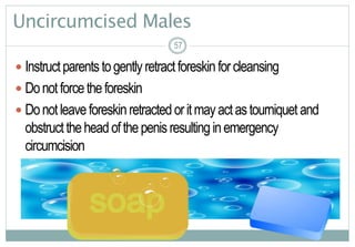 57
Uncircumcised Males
 Instructparentstogentlyretractforeskinforcleansing
 Donotforcetheforeskin
 Donotleaveforeskinretractedoritmayactastourniquet and
obstructtheheadofthepenisresultinginemergency
circumcision
5757
 