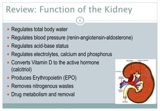 Review: Function of the Kidney
 Regulates total body water
 Regulates blood pressure (renin-angiotensin-aldosterone)
 Regulates acid-base status
 Regulates electrolytes, calcium and phosphorus
 Converts Vitamin D to the active hormone
(calcitriol)
 Produces Erythropoietin (EPO)
 Removes nitrogenous wastes
 Drug metabolism and removal
6
 
