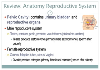 7
Review: Anatomy Reproductive System
 Pelvic Cavity: contains urinary bladder, and
reproductive organs
 Malereproductive system
 Testes,scrotum,penis,prostate,vasdeferens(drainsintourethra)
Testesproducetestosterone(primarymalesexhormone);spermafter
puberty
 Femalereproductive system
 Ovaries,fallopiantubes,uterus,vagina
Ovariesproduceestrogen(primaryfemalesexhormone);ovumafterpuberty
7
 