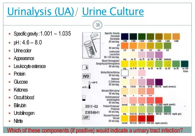 Alterations in genitourinary function in children fall 2017 Alterations in genitourinary function in children fall 2017