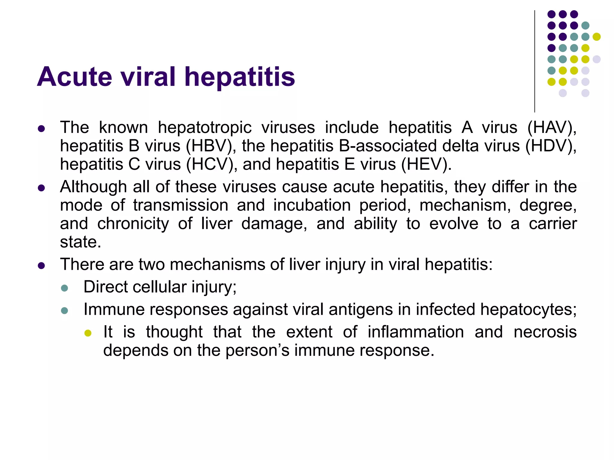 Acute viral hepatitis
 The known hepatotropic viruses include hepatitis A virus (HAV),
hepatitis B virus (HBV), the hepatitis B-associated delta virus (HDV),
hepatitis C virus (HCV), and hepatitis E virus (HEV).
 Although all of these viruses cause acute hepatitis, they differ in the
mode of transmission and incubation period, mechanism, degree,
and chronicity of liver damage, and ability to evolve to a carrier
state.
 There are two mechanisms of liver injury in viral hepatitis:
 Direct cellular injury;
 Immune responses against viral antigens in infected hepatocytes;
 It is thought that the extent of inflammation and necrosis
depends on the person’s immune response.
 