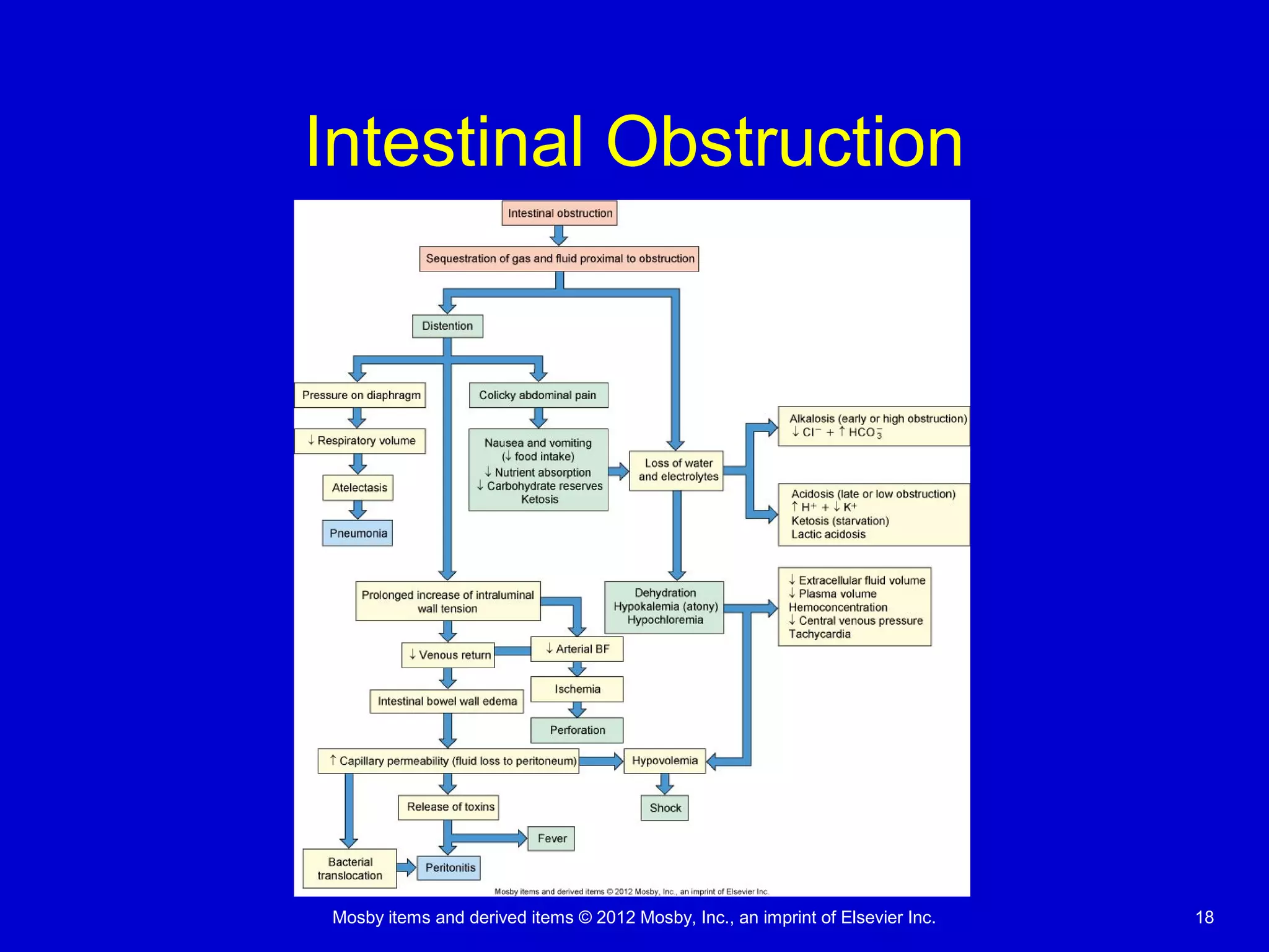 Mosby items and derived items © 2012 Mosby, Inc., an imprint of Elsevier Inc. 18
Intestinal Obstruction
 