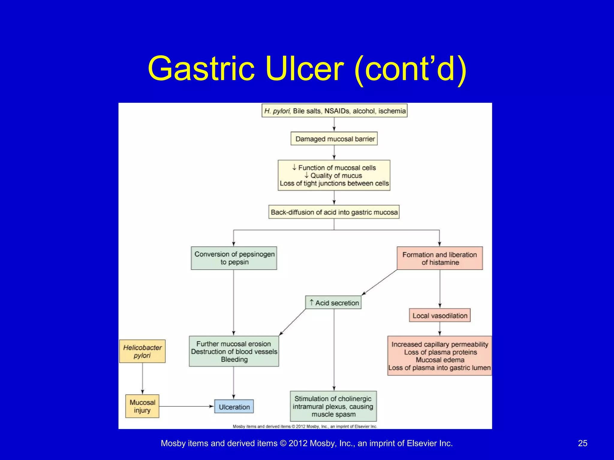 Mosby items and derived items © 2012 Mosby, Inc., an imprint of Elsevier Inc. 25
Gastric Ulcer (cont’d)
 