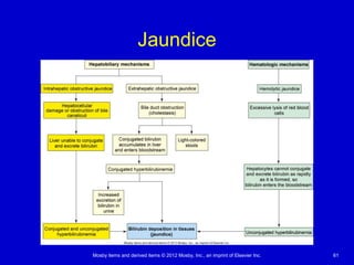 Mosby items and derived items © 2012 Mosby, Inc., an imprint of Elsevier Inc. 61
Jaundice
 