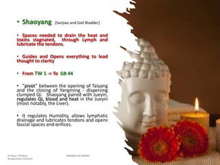 • Shaoyang (Sanjiao and Gall Bladder)
• Spaces needed to drain the heat and
toxins stagnated, through Lymph and
lubricate the tendons.
• Guides and Opens everything to lead
thought to clarity
• From TW 1 -> To GB 44
• “pivot” between the opening of Taiyang
and the closing of Yangming - dispersing
clumped Qi. Shaoyang paired with Jueyin,
regulates Qi, blood and heat in the Jueyin
(most notably, the Liver).
• It regulates Humidity, allows lymphatic
drainage and lubricates tendons and opens
fascial spaces and orifices.
Dr Raju C Krishna JINGWELL ACADEMY
Acupuncture Scientist
 