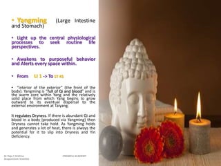 • Yangming (Large Intestine
and Stomach)
• Light up the central physiological
processes to seek routine life
perspectives.
• Awakens to purposeful behavior
and Alerts every space within.
• From LI 1 -> To ST 45
• “interior of the exterior” (the front of the
body). Yangming is “full of Qi and blood” and is
the warm core within Yang and the relatively
solid place from which Yang begins to grow
outward to its eventual dispersal to the
external environment at Taiyang.
It regulates Dryness. If there is abundant Qi and
blood in a body (produced via Yangming) then
Dryness cannot take hold. As Yangming holds
and generates a lot of heat, there is always the
potential for it to slip into Dryness and Yin
Deficiency.
Dr Raju C Krishna JINGWELL ACADEMY
Acupuncture Scientist
 
