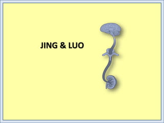 JING & LUO
 