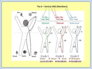 The 6 – Vertical JING (Meridians)
Dawn  Noon  Dusk  Midnight
Lu>LI>ST>SP> H>SI>UB>K> P>SJ>GB>LIV
 