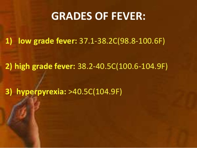 High Grade Fever In Adults 88