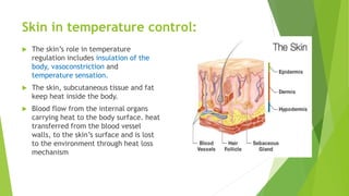 Skin in temperature control:
 The skin’s role in temperature
regulation includes insulation of the
body, vasoconstriction and
temperature sensation.
 The skin, subcutaneous tissue and fat
keep heat inside the body.
 Blood flow from the internal organs
carrying heat to the body surface. heat
transferred from the blood vessel
walls, to the skin’s surface and is lost
to the environment through heat loss
mechanism
 