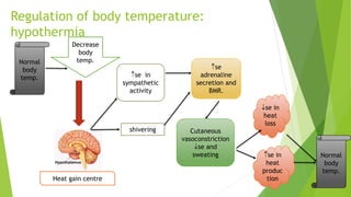 Regulation of body temperature:
hypothermia
Normal
body
temp.
Decrease
body
temp.
Heat gain centre
se in
sympathetic
activity
shivering
se
adrenaline
secretion and
BMR.
Cutaneous
vasoconstriction
se and
sweating
se in
heat
loss
se in
heat
produc
tion
Normal
body
temp.
 