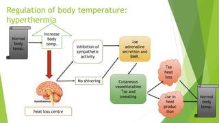 Regulation of body temperature:
hyperthermia
Normal
body
temp.
Increase
body
temp.
heat loss centre
Inhibition of
sympathetic
activity
No shivering
se
adrenaline
secretion and
BMR.
Cutaneous
vasodilatation
se and
sweating
se
heat
loss
se in
heat
produc
tion
Normal
body
temp.
 