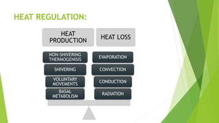 HEAT REGULATION:
HEAT
PRODUCTION
HEAT LOSS
RADIATION
CONDUCTION
CONVECTION
EVAPORATION
BASAL
METABOLISM
VOLUNTARY
MOVEMENTS
SHIVERING
NON-SHIVERING
THERMOGENISIS
 