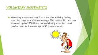 VOLUNTARY MOVEMENTS
 Voluntary movements such as muscular activity during
exercise require additional energy. The metabolic rate can
increase up to 2000 times normal during exercise. Heat
production can increase up to 50 times normal.
 