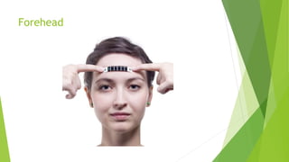 Forehead
 