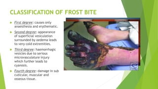 CLASSIFICATION OF FROST BITE
 First degree: causes only
anaesthesia and erythematic.
 Second degree: appearance
of superficial vesiculation
surrounded by oedema leads
to very cold extremities.
 Third degree: haemorrhagic
vesicles due to serious
microvasculature injury
which further leads to
cyanosis.
 Fourth degree: damage in sub
cuticular, muscular and
osseous tissue.
 
