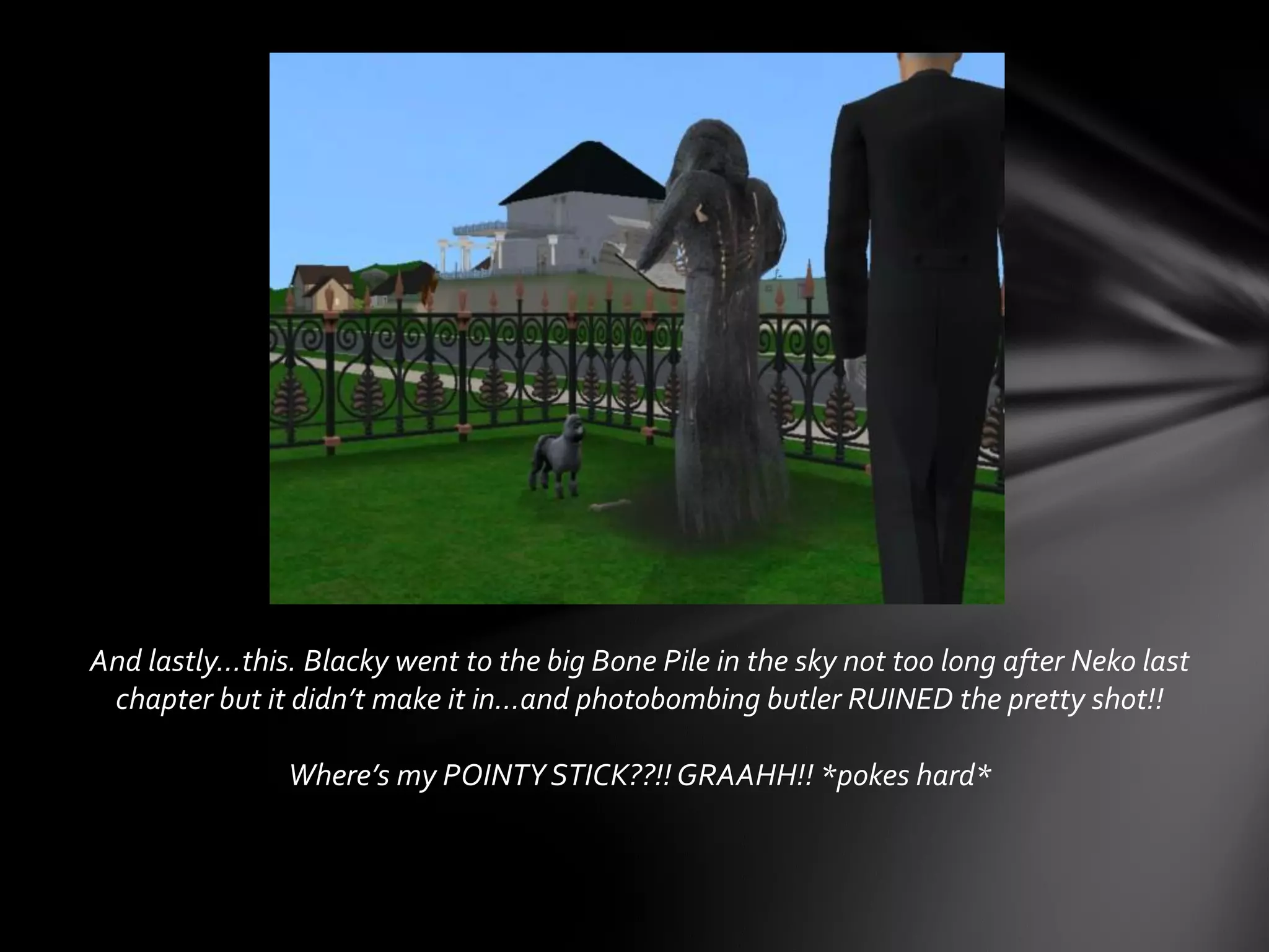And lastly…this. Blacky went to the big Bone Pile in the sky not too long after Neko last
chapter but it didn’t make it in…and photobombing butler RUINED the pretty shot!!
Where’s my POINTY STICK??!! GRAAHH!! *pokes hard*
 