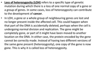 • Loss of heterozygosity (LOH) refers to a specific type of genetic
mutation during which there is a loss of one normal copy of a gene or
a group of genes. In some cases, loss of heterozygosity can contribute
to the development of cancer.
• In LOH, a gene or a whole group of neighbouring genes are lost and
no longer present inside the affected cell. This could happen when
that part of the DNA is accidentally deleted, perhaps when the cell is
undergoing normal division and replication. The gene might be
completely gone, or part of it might have been moved to another
location on the DNA. In either case, the protein encoded by the gene
cannot be correctly made. Instead of having two different versions of
the same gene present (heterozygosity), one copy of the gene is now
gone. This is why it is called loss of heterozygosity.
 