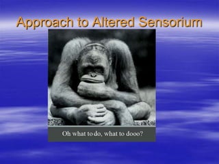 Approach to Altered Sensorium
 
