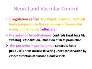 Neural and Vascular Control
• T regulation center :the hypothalamus , controls
body temperature the same way a thermostat
works in the home (reflex arc)
the anterior hypothalamus controls heat loss Via
sweating, vasodilation, inhibition of heat production
 the posterior hypothalamus controls heat
production via muscle shivering , heat conservation by
vasoconstriction of surface blood vessels
 