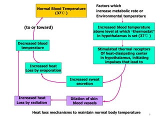 9
Normal Blood Temperature
(37℃ )
Factors which
increase metabolic rate or
Environmental temperature
Increased blood temperature
above level at which “thermostat”
in hypothalamus is set (37℃ )
Stimulated thermal receptors
Of heat-dissipating center
in hypothalamus, initiating
impulses that lead to
Increased sweat
secretion
Dilation of skin
blood vessels
Increased heat
Loss by radiation
Increased heat
Loss by evaporation
Decreased blood
temperature
(to or toward)
Heat loss mechanisms to maintain normal body temperature
 