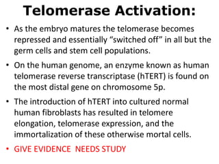 Altering The Genetic Clock With Telomeres and Telomerase - The Key To ...