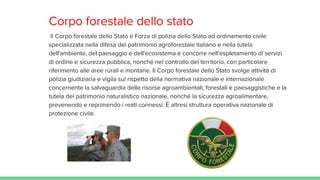 Corpo forestale dello stato
Il Corpo forestale dello Stato è Forza di polizia dello Stato ad ordinamento civile
specializzata nella difesa del patrimonio agroforestale italiano e nella tutela
dell'ambiente, del paesaggio e dell'ecosistema e concorre nell'espletamento di servizi
di ordine e sicurezza pubblica, nonché nel controllo del territorio, con particolare
riferimento alle aree rurali e montane. Il Corpo forestale dello Stato svolge attività di
polizia giudiziaria e vigila sul rispetto della normativa nazionale e internazionale
concernente la salvaguardia delle risorse agroambientali, forestali e paesaggistiche e la
tutela del patrimonio naturalistico nazionale, nonché la sicurezza agroalimentare,
prevenendo e reprimendo i reati connessi. È altresí struttura operativa nazionale di
protezione civile.
 