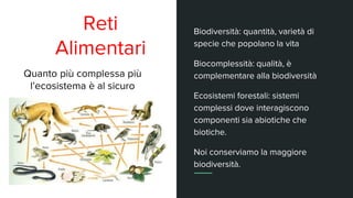 Reti
Alimentari
Quanto più complessa più
l’ecosistema è al sicuro
Biodiversità: quantità, varietà di
specie che popolano la vita
Biocomplessità: qualità, è
complementare alla biodiversità
Ecosistemi forestali: sistemi
complessi dove interagiscono
componenti sia abiotiche che
biotiche.
Noi conserviamo la maggiore
biodiversità.
 